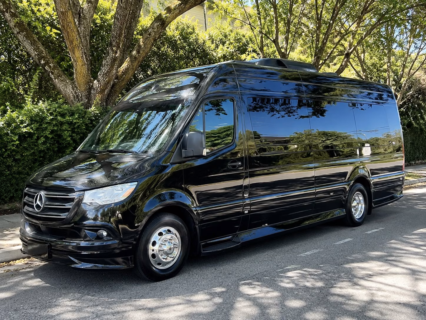 bellevue 10 passenger sprinter van